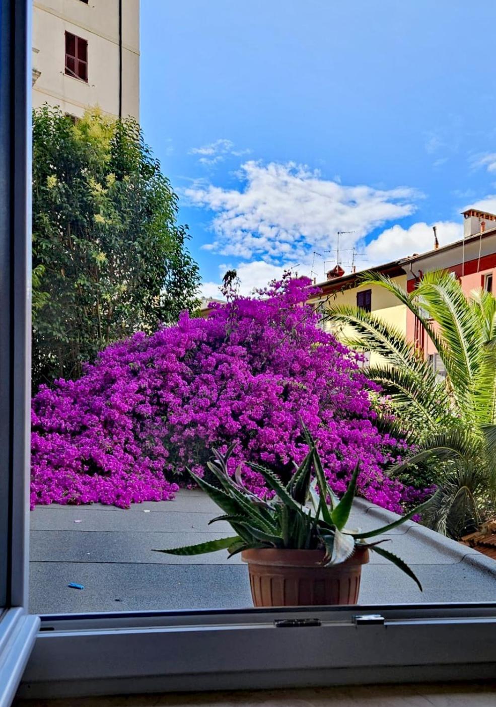 Ferienwohnung Ancora Qui, Nel Golfo Dei Poeti La Spezia Exterior foto